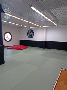 TATAMI 3.jpg